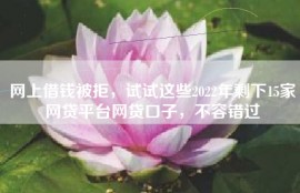 网上借钱被拒，试试这些2022年剩下15家网贷平台网贷口子，不容错过