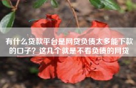 有什么贷款平台是网贷负债太多能下款的口子？这几个就是不看负债的网贷