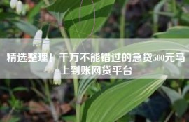 精选整理！千万不能错过的急贷500元马上到账网贷平台
