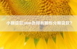 小额贷款10000急用有哪些分期贷款？