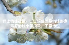 网上借钱被拒，试试这些网贷借钱哪家最好借钱小额贷款，不容错过