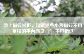 网上借钱被拒，试试这些小额借钱不用审核的平台网贷app，不容错过
