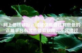 网上借钱被拒，试试这些借钱利息低的正规平台有哪些借款软件，不容错过