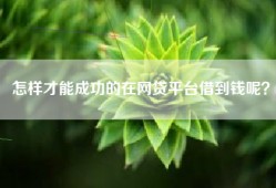 怎样才能成功的在网贷平台借到钱呢？