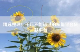 精选整理！千万不能错过的私借平台贷款平台