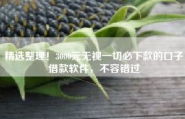 精选整理！3000元无视一切必下款的口子借款软件，不容错过