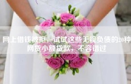 网上借钱被拒，试试这些无视负债的20种网贷小额贷款，不容错过