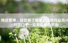 精选整理，征信黑了哪里可以借钱应急2022网贷口子一览表，拿走不谢