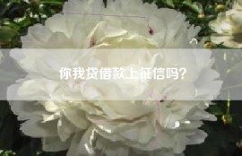 你我贷借款上征信吗？