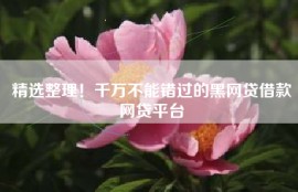 精选整理！千万不能错过的黑网贷借款网贷平台
