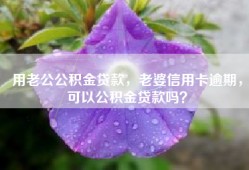 用老公公积金贷款，老婆信用卡逾期，可以公积金贷款吗？