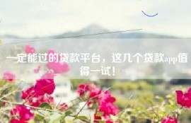 一定能过的贷款平台，这几个贷款app值得一试！