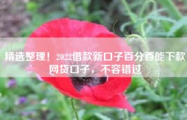 精选整理！2022借款新口子百分百能下款网贷口子，不容错过
