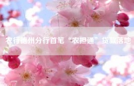 农行德州分行首笔“农担通”贷款落地