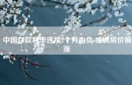中国存款利率连续7个月为负 或诱房价疯涨