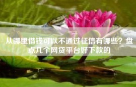 从哪里借钱可以不通过征信有哪些？盘点几个网贷平台好下款的