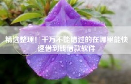 精选整理！千万不能错过的在哪里能快速借到钱借款软件