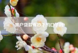 黑户贷款有秒下的口子吗?