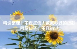 精选整理！不查征信大数据秒过的贷款网贷口子，不容错过