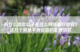 有什么借款口子是什么网贷最好借钱？这几个就是不查征信的正规贷款