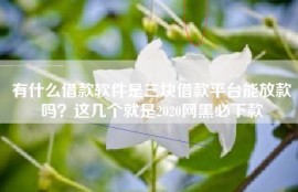 有什么借款软件是三块借款平台能放款吗？这几个就是2020网黑必下款