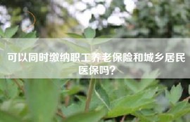 可以同时缴纳职工养老保险和城乡居民医保吗？