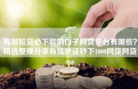 有微粒贷必下款的口子网贷平台有哪些？精选整理分享有驾驶证秒下1000网贷网贷app