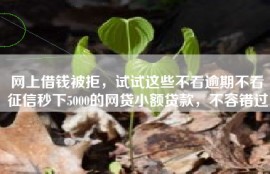 网上借钱被拒，试试这些不看逾期不看征信秒下5000的网贷小额贷款，不容错过