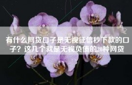有什么网贷口子是无视征信秒下款的口子？这几个就是无视负债的20种网贷