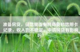 准备房贷，征信里面有网商贷和信用卡记录，收入也不稳定，申请房贷有影响吗？