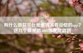 有什么借款平台是借钱不看征信的app？这几个就是借3000哪里能借到