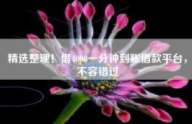 精选整理！借4000一分钟到账借款平台，不容错过