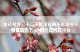 精选整理！千万不能错过的不看逾期不看征信秒下5000的网贷网贷平台