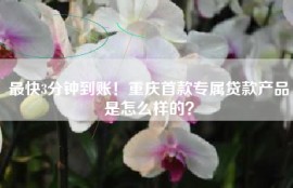 最快3分钟到账！重庆首款专属贷款产品是怎么样的？