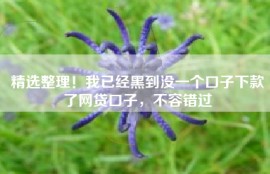 精选整理！我已经黑到没一个口子下款了网贷口子，不容错过