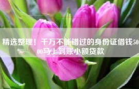 精选整理！千万不能错过的身份证借钱5000马上到账小额贷款