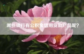 哪些银行有公积金信用贷款产品呢？