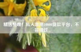 精选整理！私人急用10000贷款平台，不容错过
