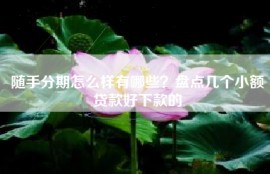 随手分期怎么样有哪些？盘点几个小额贷款好下款的