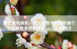 网上借钱被拒，试试这些手机贷款哪个平台最安全可靠贷款app，不容错过