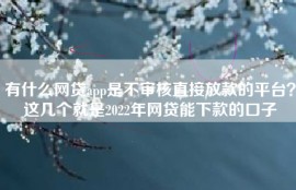 有什么网贷app是不审核直接放款的平台？这几个就是2022年网贷能下款的口子