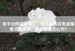 各平台网贷逾期了，每天被各位电话催债又是威胁，我现在该怎么办？