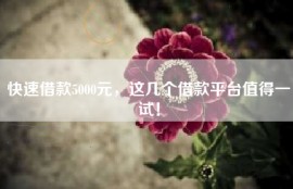 快速借款5000元，这几个借款平台值得一试！