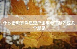 什么借款软件是黑户逾期必下款？这几个就是