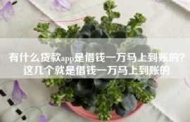 有什么贷款app是借钱一万马上到账的？这几个就是借钱一万马上到账的