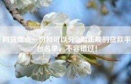 网贷盘点一份和可以分36期正规的贷款平台名单，不容错过！