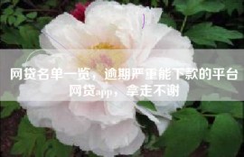 网贷名单一览，逾期严重能下款的平台网贷app，拿走不谢
