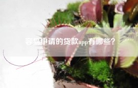 容易申请的贷款app有哪些？