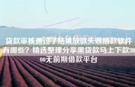 贷款审核通过了结果放款失败借款软件有哪些？精选整理分享黑贷款马上下款3000无前期借款平台