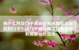 有什么网贷口子是当前有逾期负债能下款的口子？这几个就是除了花呗借呗还有哪里可以借钱